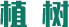 植 樹